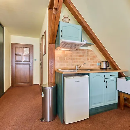 Roky - Dolni Namesti-3 By Interhome Apartmán