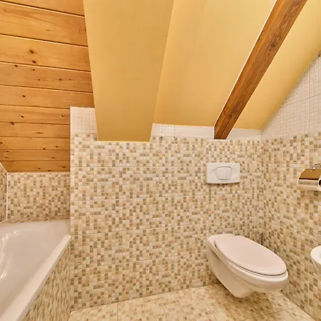 Roky - Dolni Namesti-3 By Interhome Apartmán