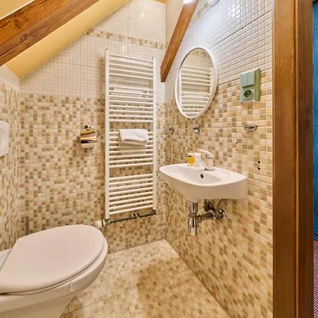 Roky - Dolni Namesti-3 By Interhome Apartmán